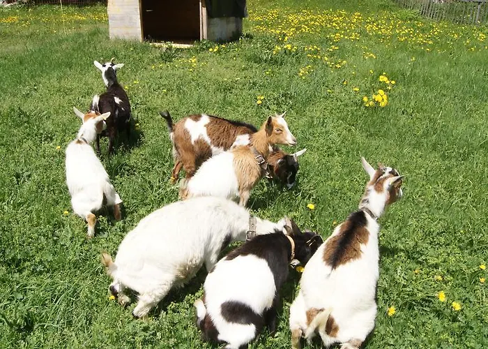 Relais D'arpette 酒店 *